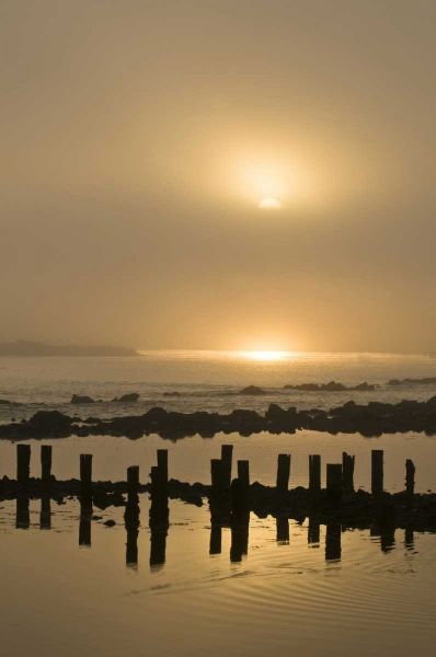 Oregon Foggy sunrise on Bandon Beach pilings